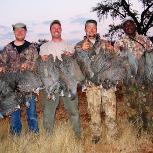 Bird Hunting with Wintershoek Johnny Vivier Safaris in SA