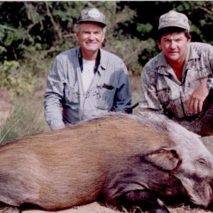 Hunting Bush Pig with Wintershoek Johnny Vivier Safaris in SA