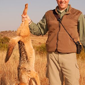 Hunting Jackal with Wintershoek Johnny Vivier Safaris in SA