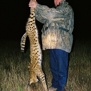 Hunting Serval with Wintershoek Johnny Vivier Safaris in SA