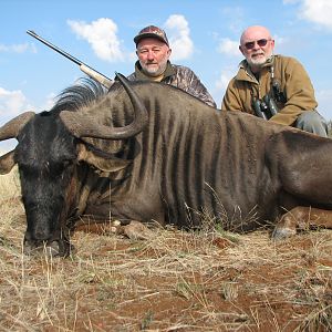 Hunting Blue Wildebeest with Wintershoek Johnny Vivier Safaris in SA