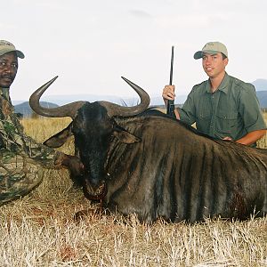 Hunting Blue Wildebeest with Wintershoek Johnny Vivier Safaris in SA