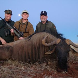 Hunting Blue Wildebeest with Wintershoek Johnny Vivier Safaris in SA