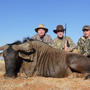 Hunting Blue Wildebeest with Wintershoek Johnny Vivier Safaris in SA