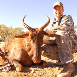 Bowhunting Tsessebe with Wintershoek Johnny Vivier Safaris in SA