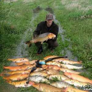 Bowfishing Carp in New Zealand