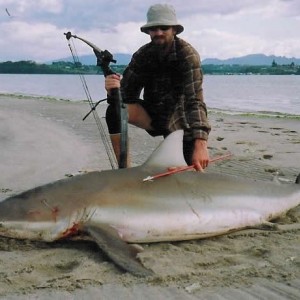 Bowfishing Bronzy Shark in New Zealand