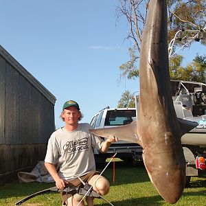 Bowfishing Shark in New Zealand