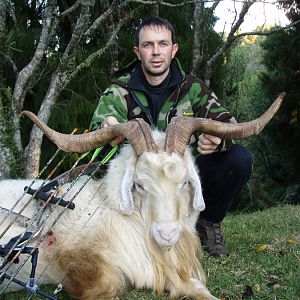 Bowhunting Goat in New Zealand