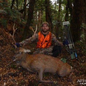 Bowhunting Sika in New Zealand