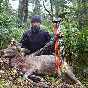 Bowhunting Stag in New Zealand