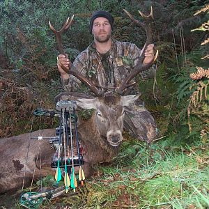 Bowhunting Deer in New Zealand