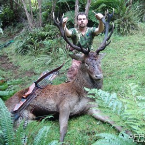 Bowhunting Deer in New Zealand
