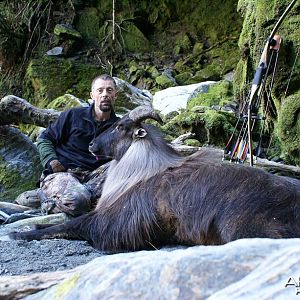 Bowhunting Tahr in New Zealand