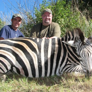 Hunting Zebra in Kwa-Zulu Natal, SA