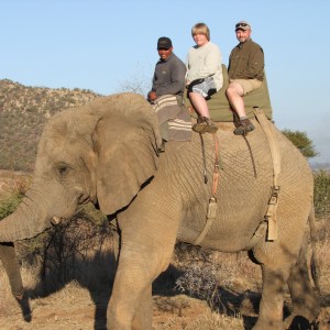 2010 RSA Elephant Ride