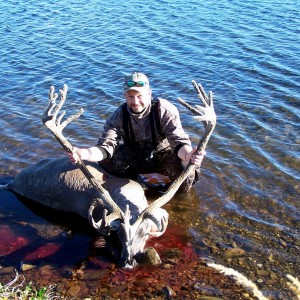 Caribou 2007 Alaska