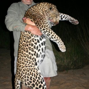 Leopard Hunt with Martin Pieters Safaris and Shaun Buffee