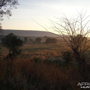 Early morning in the Chifudze camp Zimbabwe