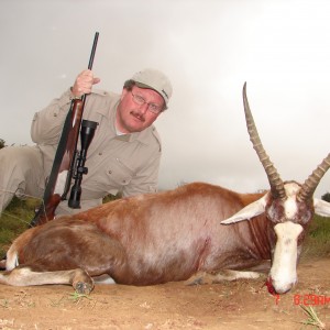 My Blesbok