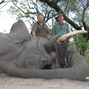 50 lbs Elephant hunted in the Caprivi Namibia