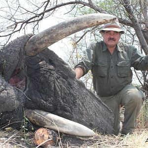 55 lbs Elephant hunted in the Caprivi Namibia