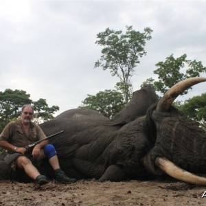 71 lbs Elephant hunted in the Kavango Namibia