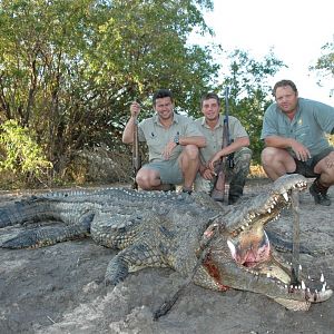 Chobe Croc