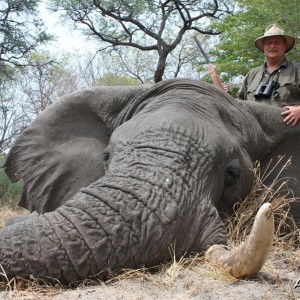 Symmetrical 63 x 63 lbs Elephant hunted in the Caprivi Namibia