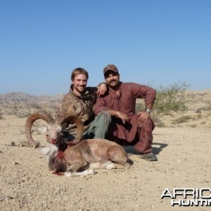 Blandford Urial taken by my friend Andrew in Sindh With me