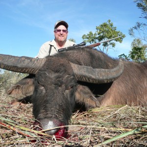 Hunting Australian Buffalo