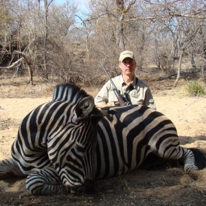 Hunting Zebra