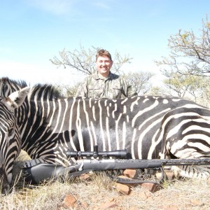 Zebra hunted in South Africa