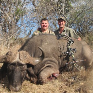 Cape Buffalo "Walk and Stalk" Leeukop Safaris