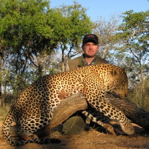 Zimbabwe Leopard