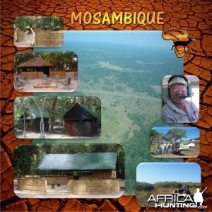 Mosambique Camp