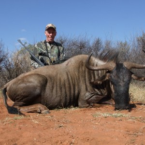 Dads Wildebeest