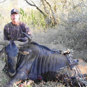 Blue Wildebeest with Limcroma Safaris