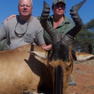 Hartebeest