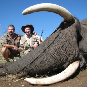 Trophy Elephant 2011