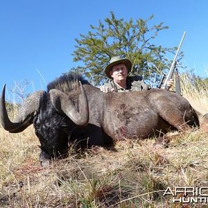 Black Wildebeest Hunted in South Africa