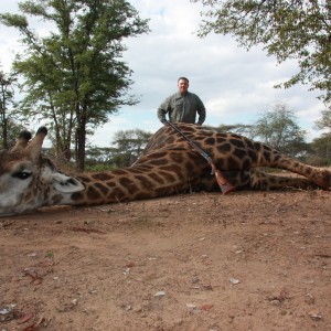 2011 Save Valley Giraffe