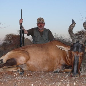 Hartebeest 2008