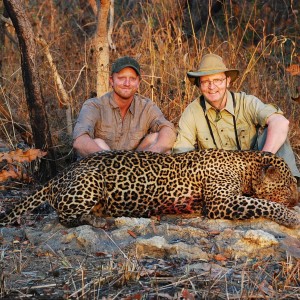 80 kg plus Leopard hunted in CAR with Central African Wildlife Adventures