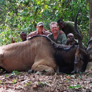 50 inch Eland hunted in CAR with Central African Wildlife Adventures