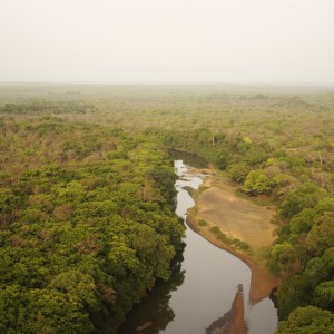 Chinko River in CAR with Central African Wildlife Adventures