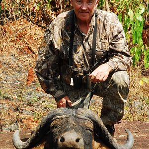 Deep curl Buffalo hunted in CAR with Central African Wildlife Adventures
