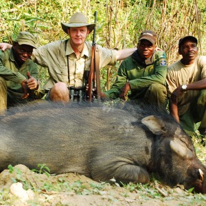 Giant Forest Hog hunted in CAR with Central African Wildlife Adventures