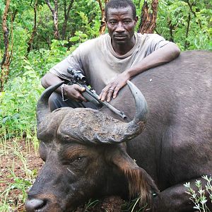 heavy bossed Buffalo hunted in CAR with Central African Wildlife Adventures