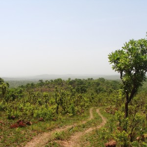 Kocho area in CAR with Central African Wildlife Adventures